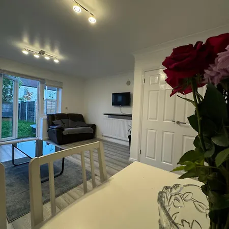 Spacious 3 Bedroom Home, With Private Driveway 5 Minutes From Excel Centre & Custom House Londra Esterno foto